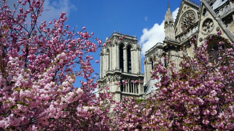 Amenaza terrorista cancela procesión en Notre Dame de París
