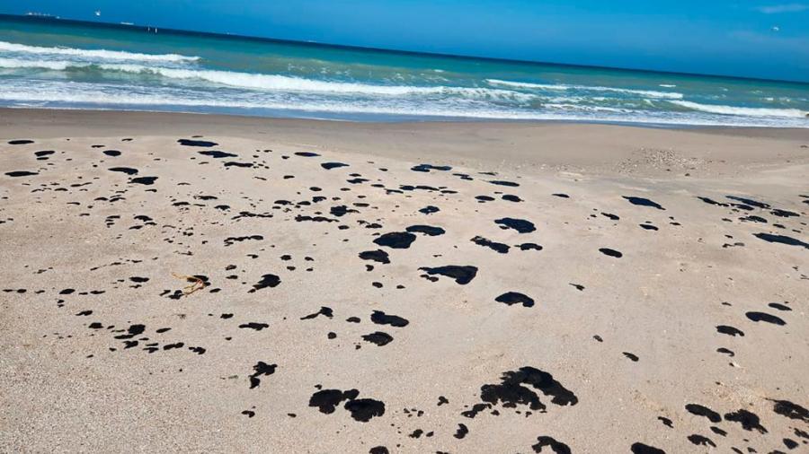 Vigilan Gobierno Federal y SEDUMA presencia de hidrocarburo en playas de Tamaulipas.