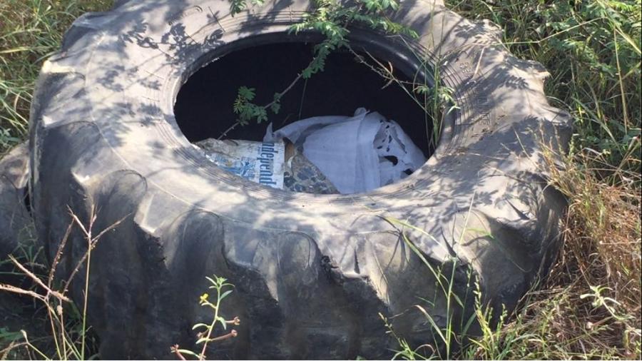 En proceso de investigaci&oacute;n la denuncia de vectores