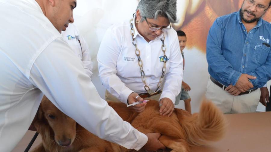 Inicia en Tamaulipas Semana Nacional de Vacunación Antirrábica 