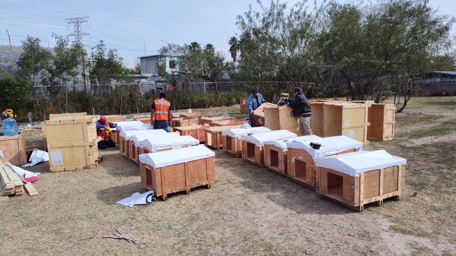 Construyen casitas para lomitos sin hogar