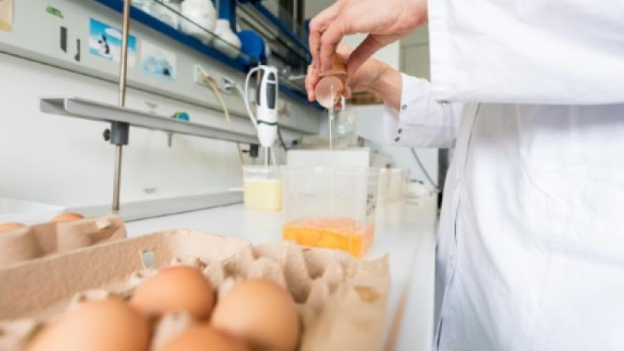 Escándalo de huevos contaminados llega a Francia