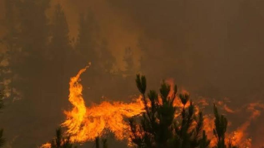 Chile sufre 300 incendios activos en el país