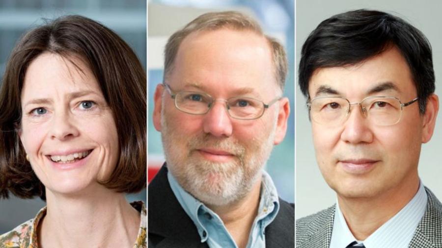 Otorgan el Premio Nobel de Medicina a científicos de EU y Japón por descubrir cómo se mantiene bajo control el sistema inmunológico