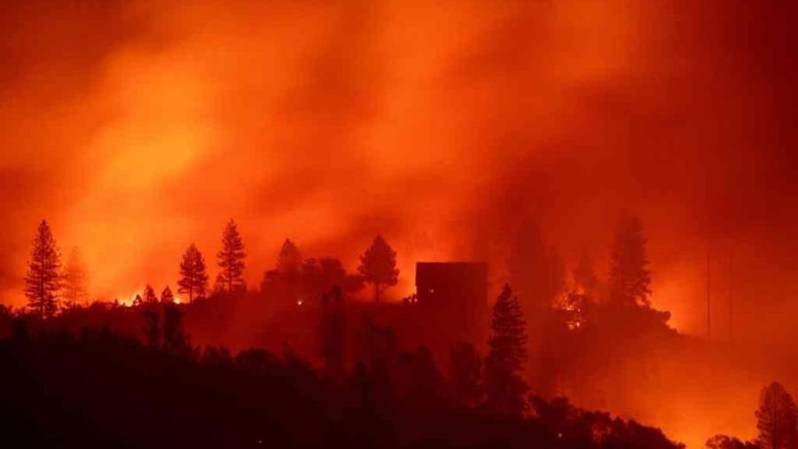 Campamentos de Incendios Forestales de Estados Unidos son foco de contagios COVID-19 