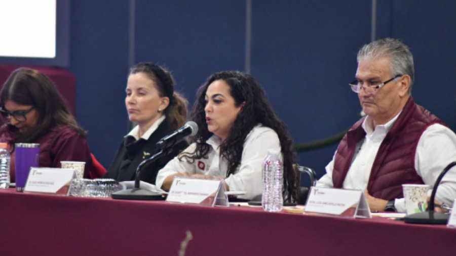 Secretar&iacute;a del Trabajo de Tamaulipas presenta acciones en Plan de Apoyo a la Regi&oacute;n Fronteriza