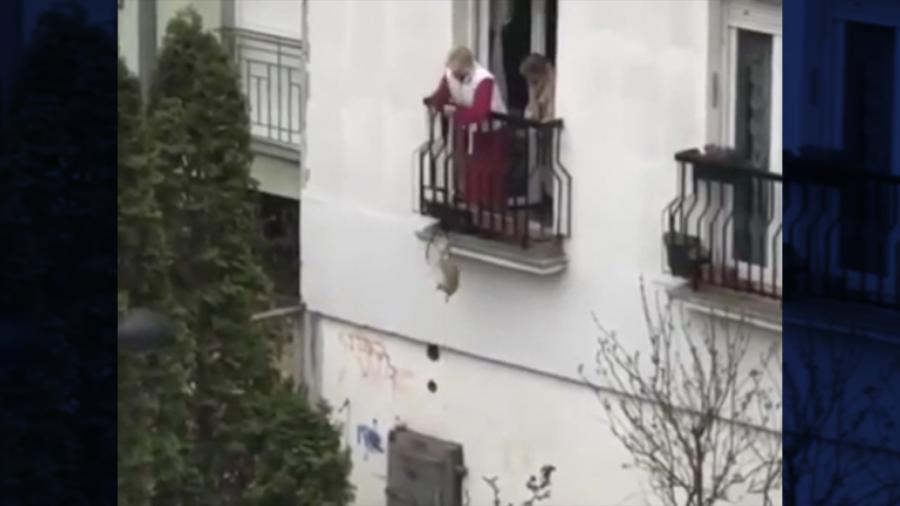 ¡Cuarentena extrema! Abuelitas sacan a pasear a su perrito desde su balcón