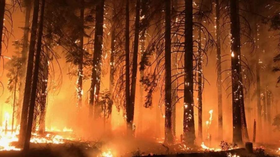 Buscan se controlen incendios para antes de Navidad
