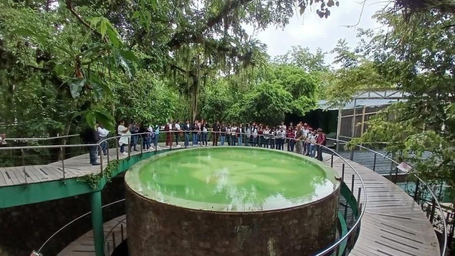 Es el Parque Ecológico Biósfera El Cielo, espacio clave para la educación ambiental y el ecoturismo en Tamaulipas