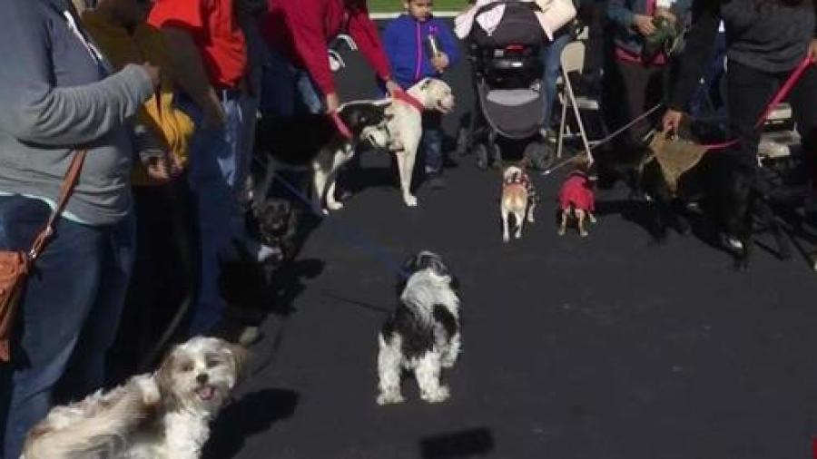 Inauguran parque para perros en Mission