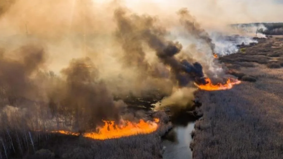 Incendio llega a Prípiat, está a 2 km de residuos radiactivos de Chernóbil