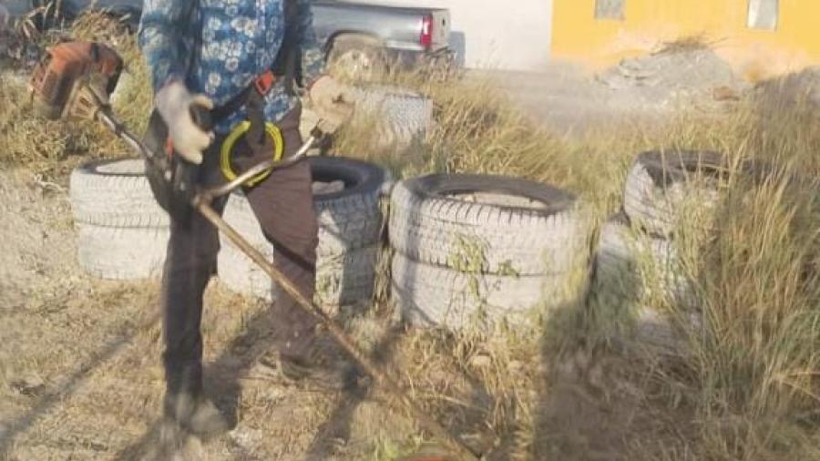 Sanearon cuadrillas del Gobierno de Reynosa COBAT 17