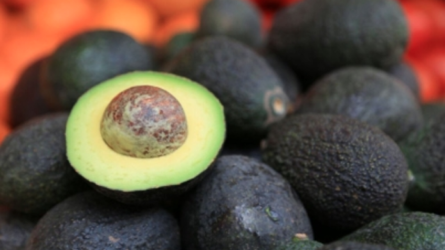 Aguacate mantiene su precio en mercados del pa&iacute;s