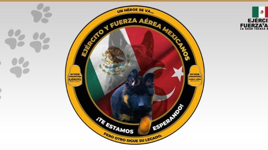 Gobierno Turco dona cachorrito a Sedena para continuar con legado de Proteo