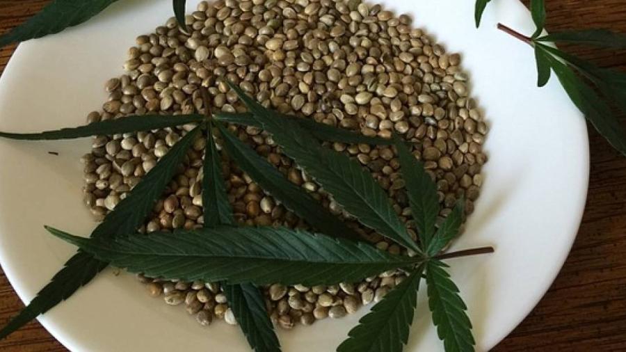 Conoce cuando iniciar&aacute; la venta de productos de marihuana en M&eacute;xico