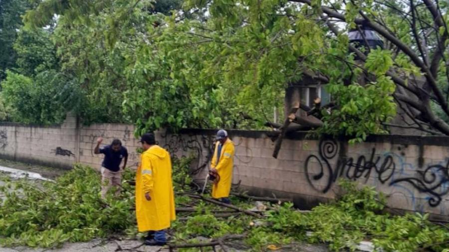 Saldo blanco tras paso de Beryl por Yucatán y Q.Roo