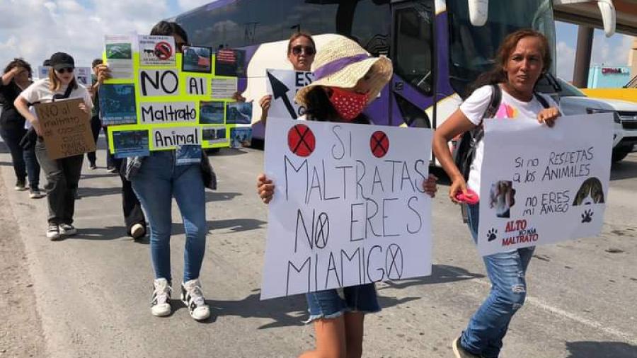 Protestan contra carretoneros defensores de los animales