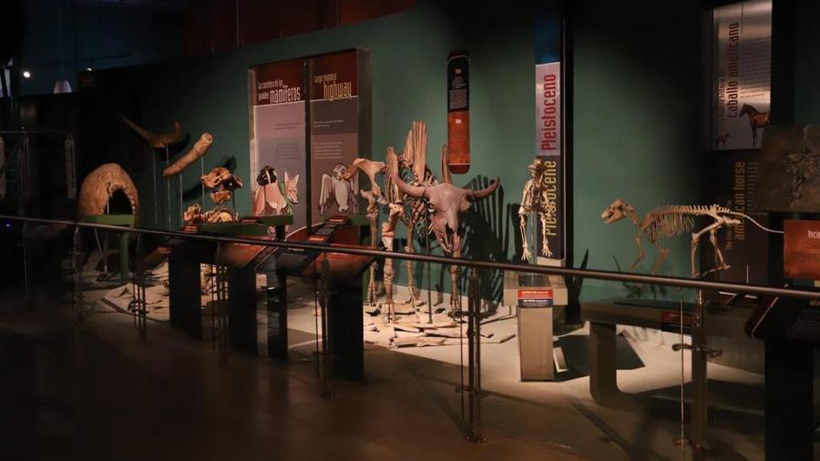 Centro Cultural suspender&aacute; actividades este s&aacute;bado 