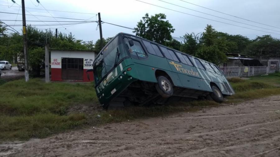 QYuEp1jLP8HorWdL0lFz.jpg