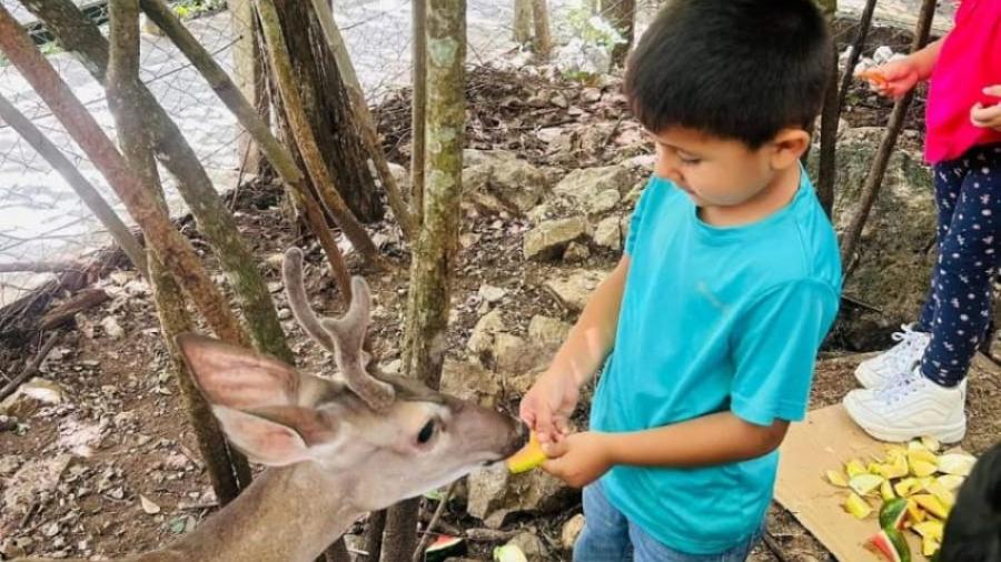 Genera Comisión de Parques guardianes de la naturaleza