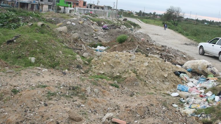 Erradican 30 basureros clandestinos en Altamira