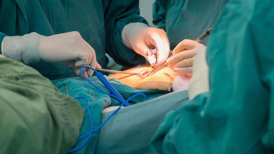 Alerta Cofepris alertan sobre falsas maestrías en cirugía estética