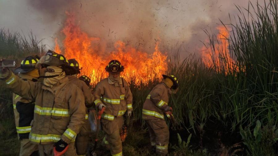 Controlan bomberos y brigadistas incendio en Ciénega de Xochimilco