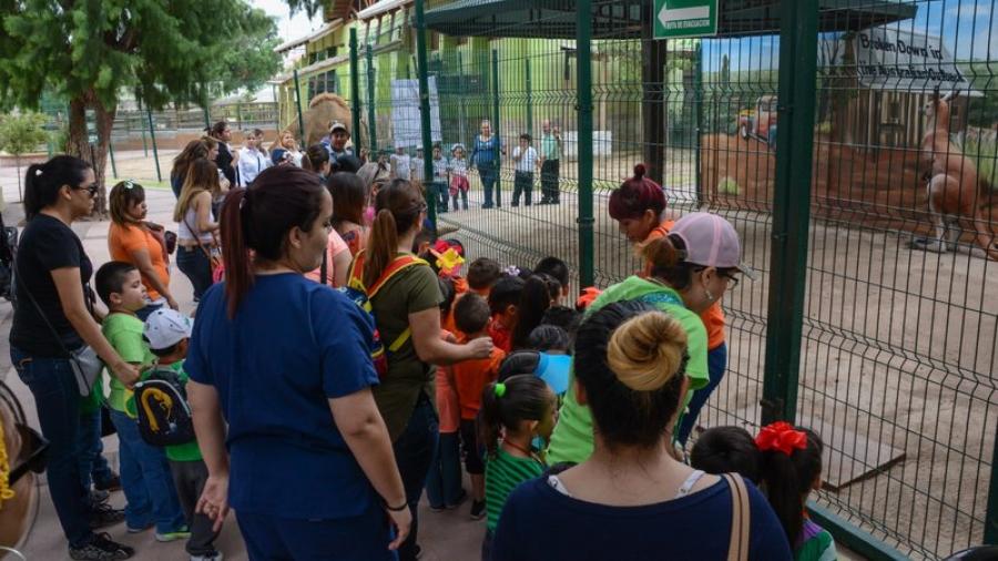 Abre Zoológico inscripciones para campamento de verano