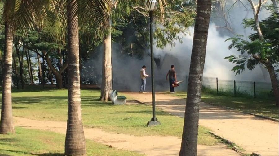 Sin tregua en la lucha contra el dengue