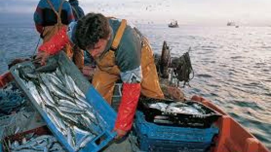 Los sectores de pesca y agrícola tendrán apoyo en combustibles