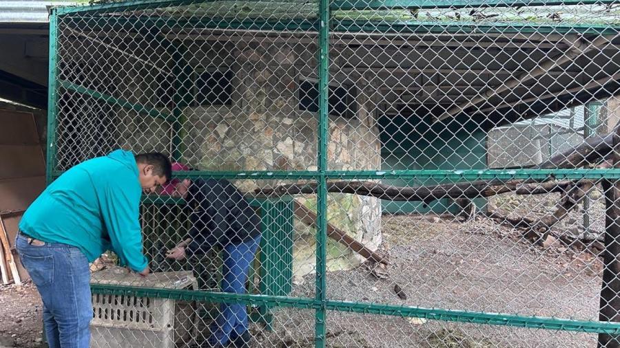 Por onda gélida, permanecerán cerrados parques de la Comisión