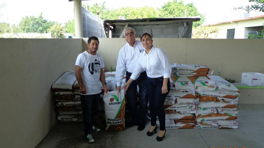 Entregan 10.8 toneladas de semilla de sorgo y frijol en Jiménez