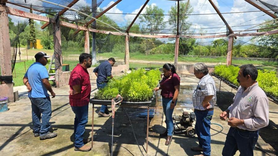 Presenta Desarrollo Rural programas de apoyo para productores agropecuarios y forestales de Abasolo