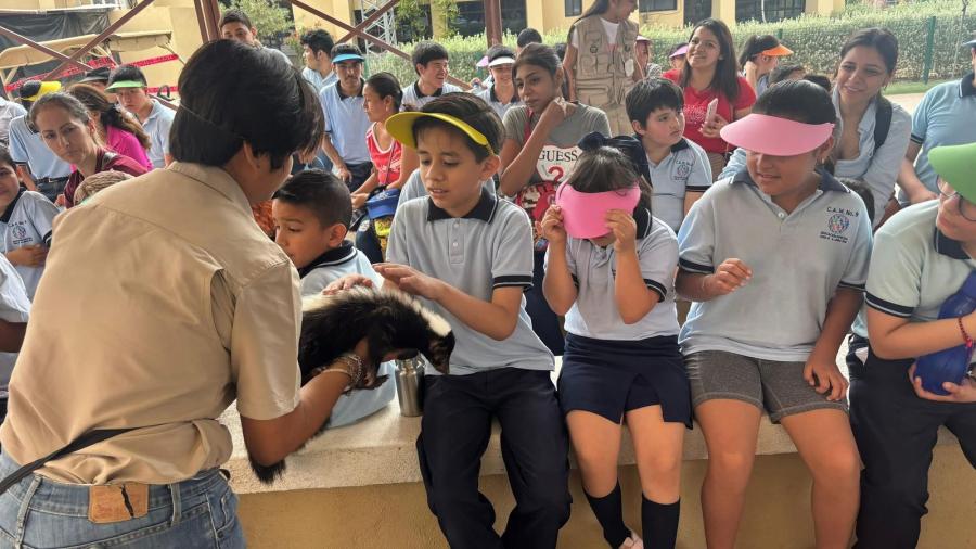 Alistan el “Capi Camp” en el Zoo