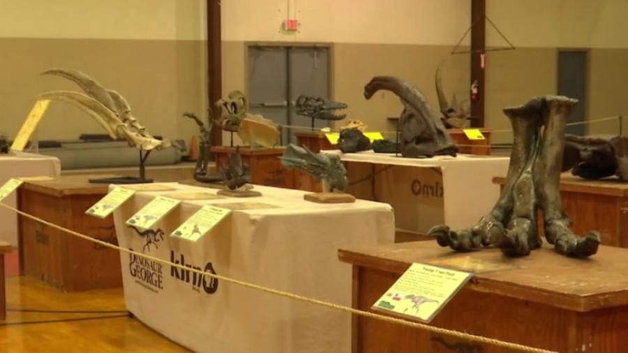 Escuela en Texas incluye estudio de fósiles de dinosaurios en plan educativo