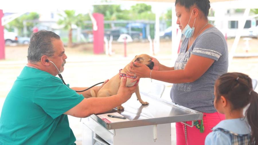Reafirma alcaldesa Carmen Lilia Canturosas compromiso con bienestar animal; Crea Gobierno Municipal nueva dirección