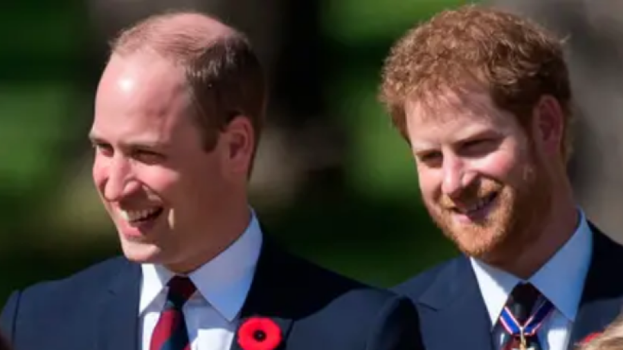 Harry y William están de nuevo en contacto