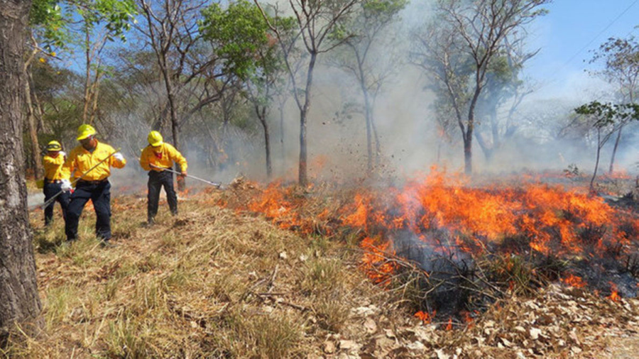 Se registra incendio en la Reserva nacional cerro del Huixteco