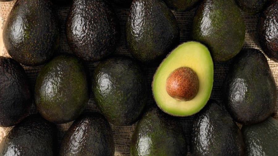 Aguacate registra el precio más alto 