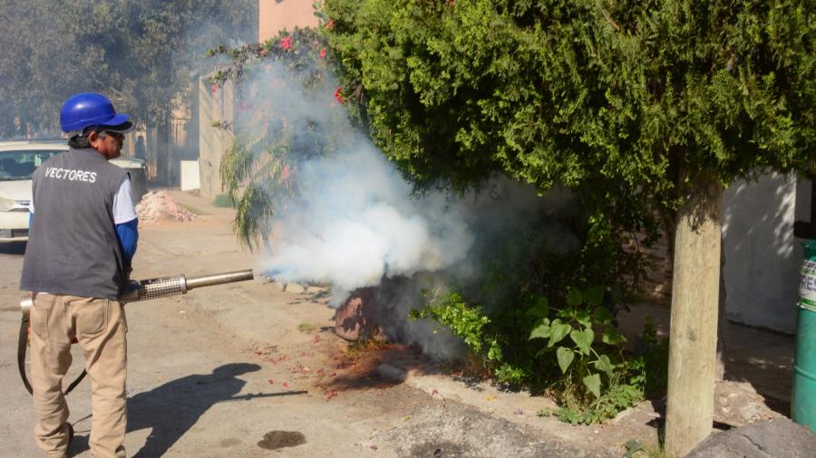 Reforzarán lucha contra el dengue en 40 colonias