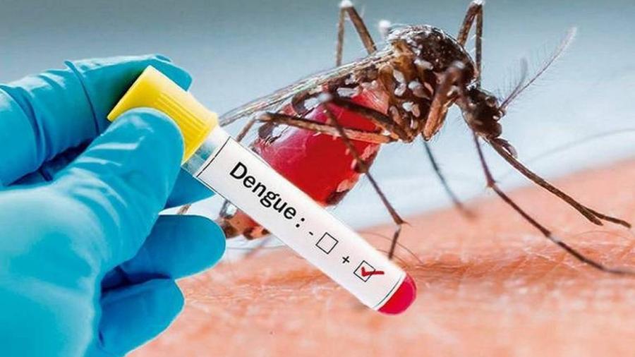 De 34 casos de dengue grave, ocho han fallecido en Tamaulipas, confirma Salud