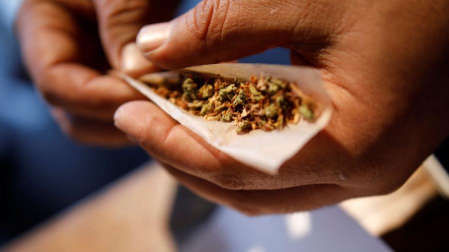 Declaran el 20 de abril como el día nacional de la marihuana 