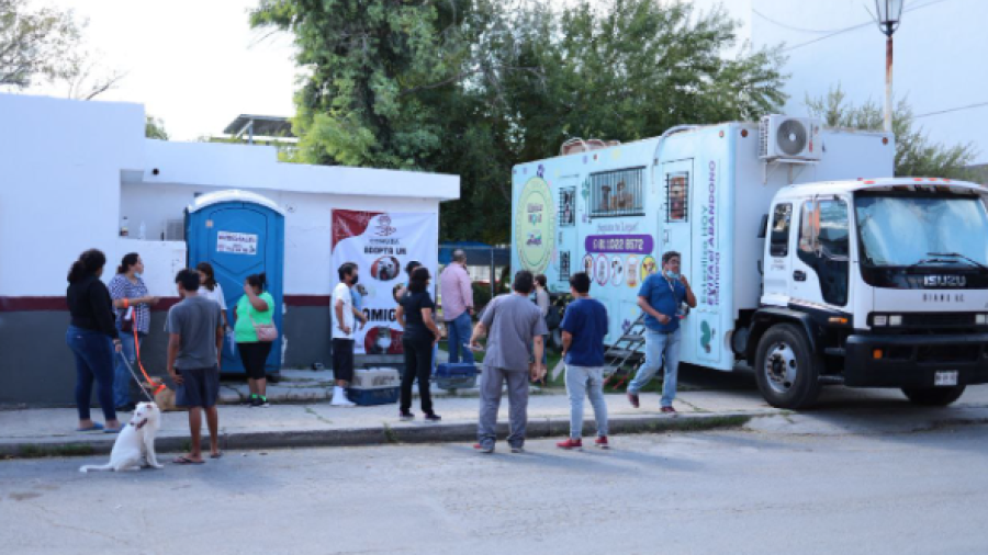 Finaliza campaña gratuita para esterilizar a más de 200 mascotas 