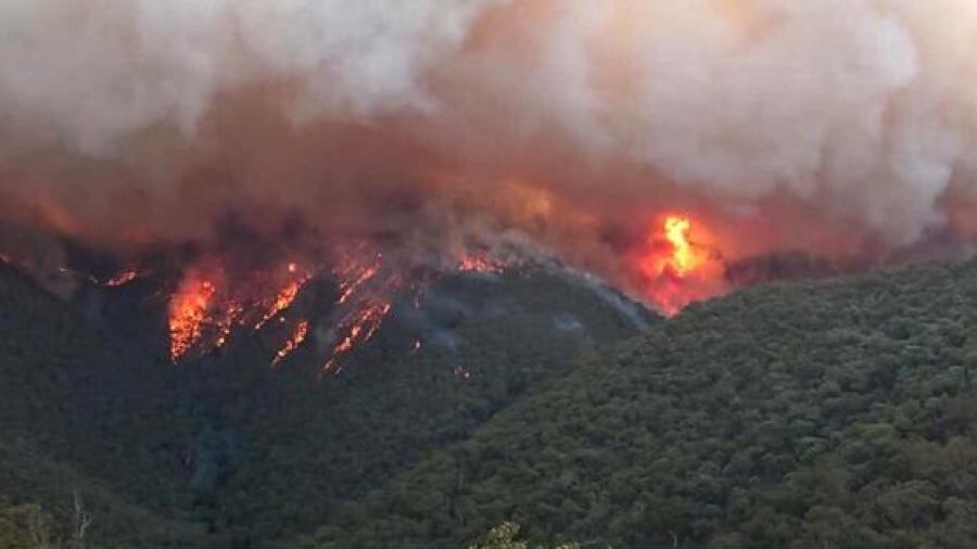 Declaran estado de emergencia en Nueva Gales del Sur por los incendios forestales