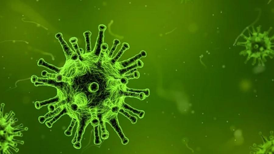 Se confirma primer caso de influenza aviar en México 