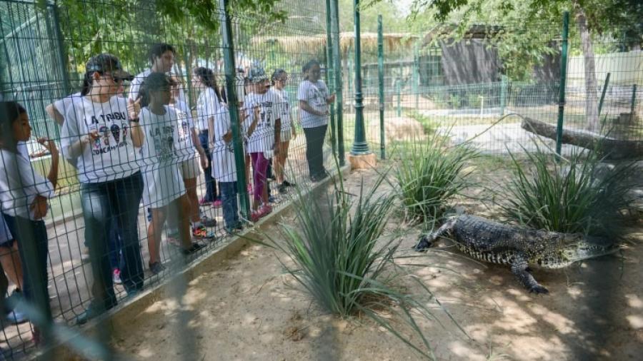 Ejército convive con niños en campamento del Zoológico