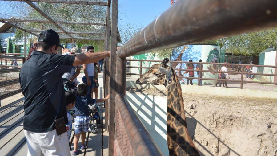 Visitantes locales y turistas disfrutan del zoológico de Nuevo Laredo 