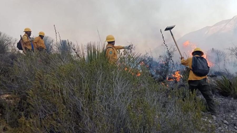 Refuerzan coordinación Estado y Federación para combatir incendios 