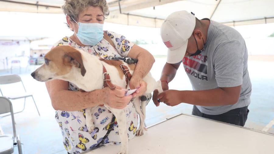 Ofrecerá gobierno de Nuevo Laredo brigada médica y de Salud Animal en El Campanario 