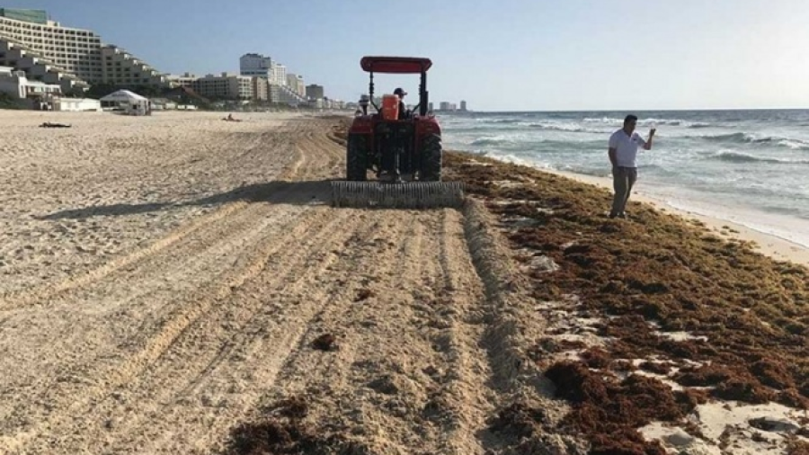 Preparan barreras para limpiar sargazo en Playa del Carmen